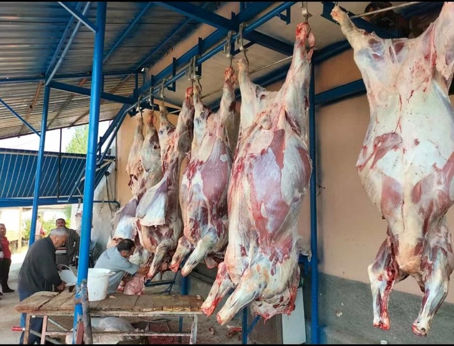 Pehlivanlar Besicilik